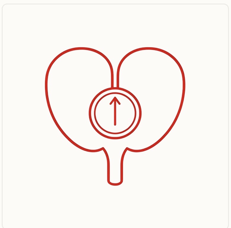 Men's Health Compass logo